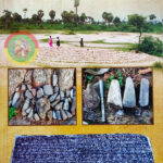 கொங்கு வேளாளரில் செம்ப குலத்தினருக்கு அவினாசி தெக்கலூர் மாரியம்மன் கோவில் முதல் மரியாதை!