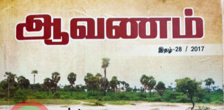 கொங்கு வேளாளரில் செம்ப குலத்தினருக்கு அவினாசி தெக்கலூர் மாரியம்மன் கோவில் முதல் மரியாதை!