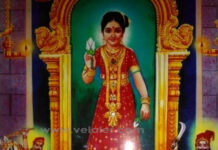 பாண்டிய வேளாளரின் பத்தினி தெய்வம் சீலைக்காரியம்மன்!