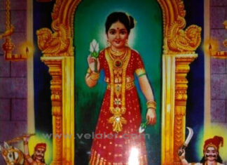 பாண்டிய வேளாளரின் பத்தினி தெய்வம் சீலைக்காரியம்மன்!