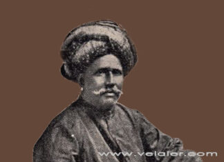 தொல்காப்பியத்தின் சொல்லதிகாரத்தை உலகுக்கு கொடுத்த தமிழறிஞர் சி. வை. தாமோதரம் பிள்ளை!