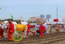 சித்திர மேழி திருவிழா என்றதொரு வேளாளர் மரபு!