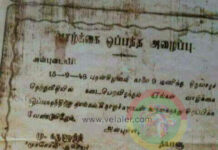மேடைகளில் திராவிட கருத்தையும், தனது திருமணத்திற்கு சாதியையும் போட்டுக் கொண்ட கருணாநிதி!