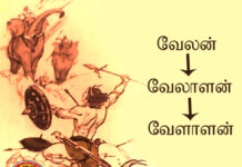 வேளாளர் சமூகம், தமிழ்ச் சமூகத்தின் தவிர்க்க முடியாத அங்கம்!