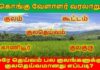 கொங்கு வேளாளர் குலம் குறித்த ஒரு சிறிய தெளிவுரை…