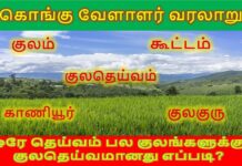கொங்கு வேளாளர் குலம் குறித்த ஒரு சிறிய தெளிவுரை…